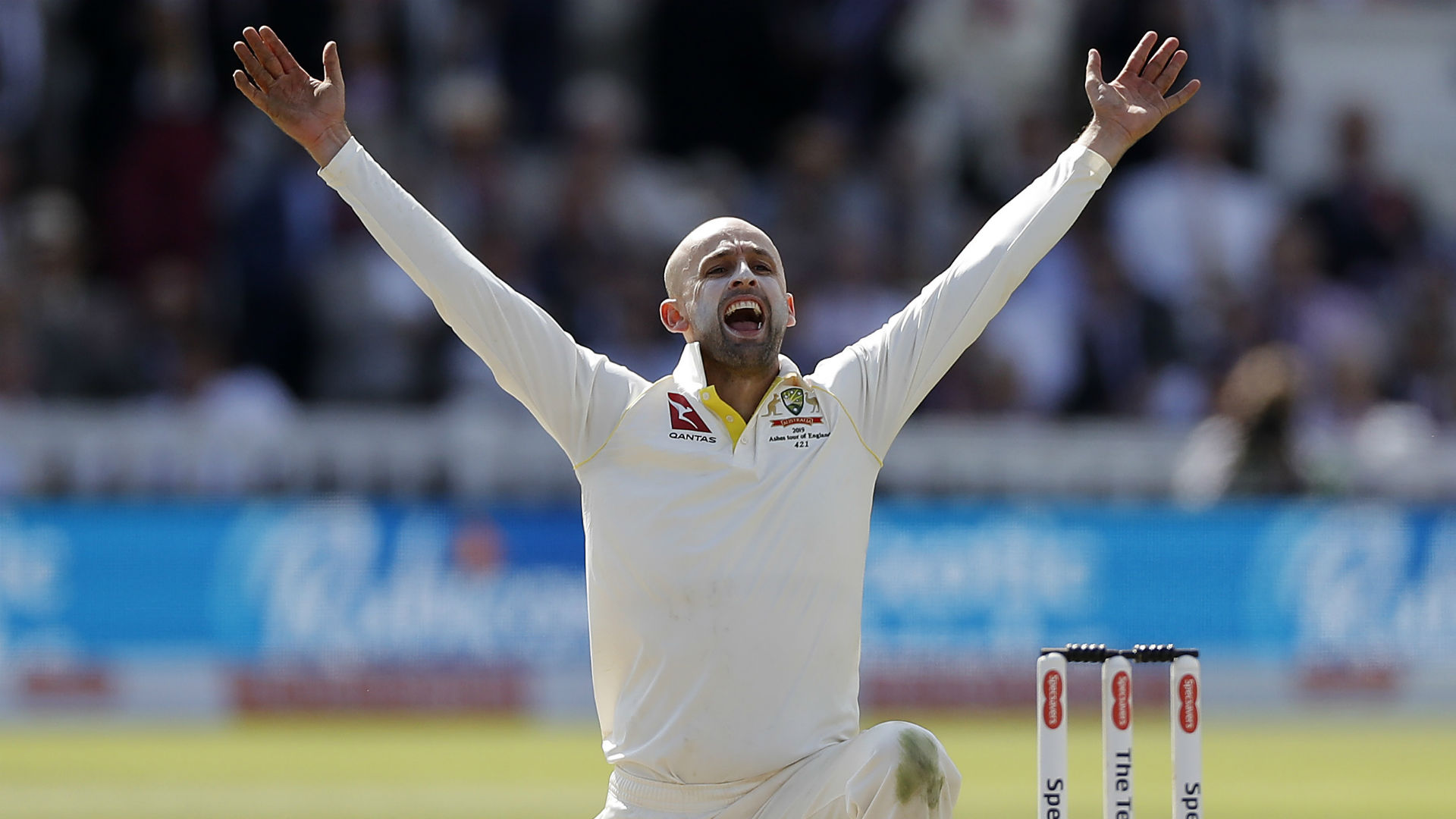 Nathan Lyon lapped up England's torture at the hands of India spinners Ravichandran Ashwin and Axar Patal in Ahmedabad.