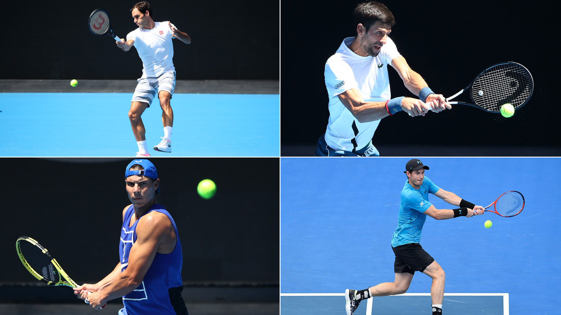 It appears as though Roger Federer and Novak Djokovic carry the hopes of the 'Big Four' at the Australian Open.