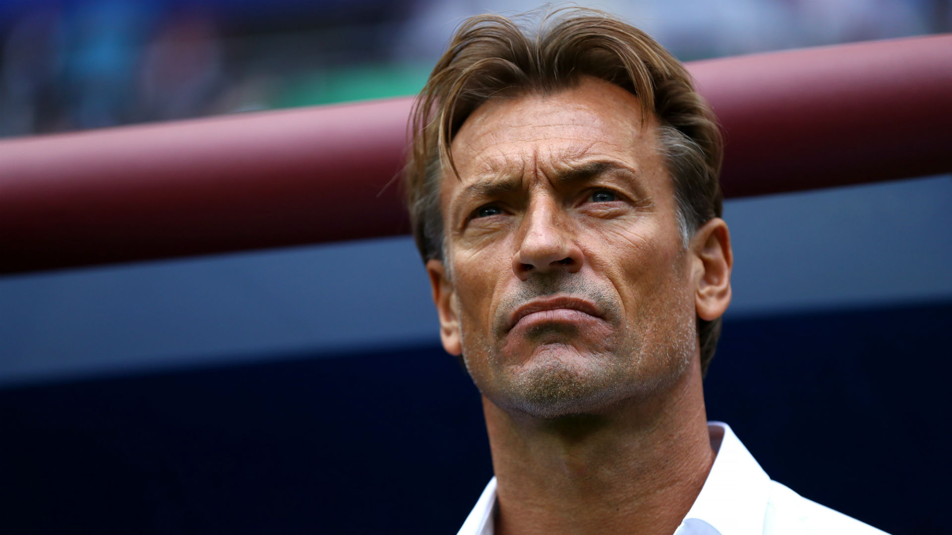 After a disappointing AFCON campaign, which saw them knocked out in the last 16, Herve Renard has stepped down as Morocco coach.