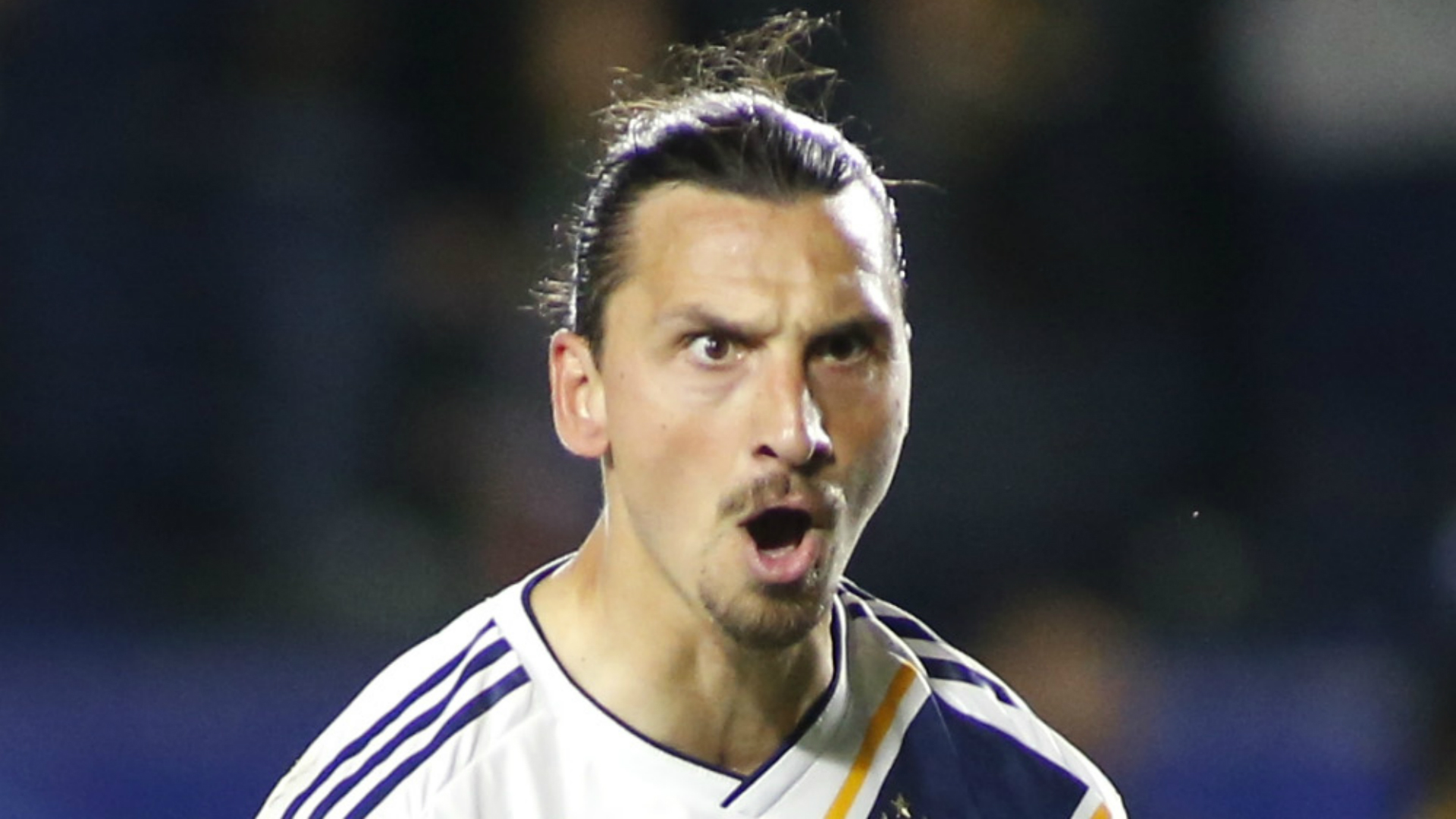 Bologna are trying to sign LA Galaxy striker Zlatan Ibrahimovic when his contract expires in December.