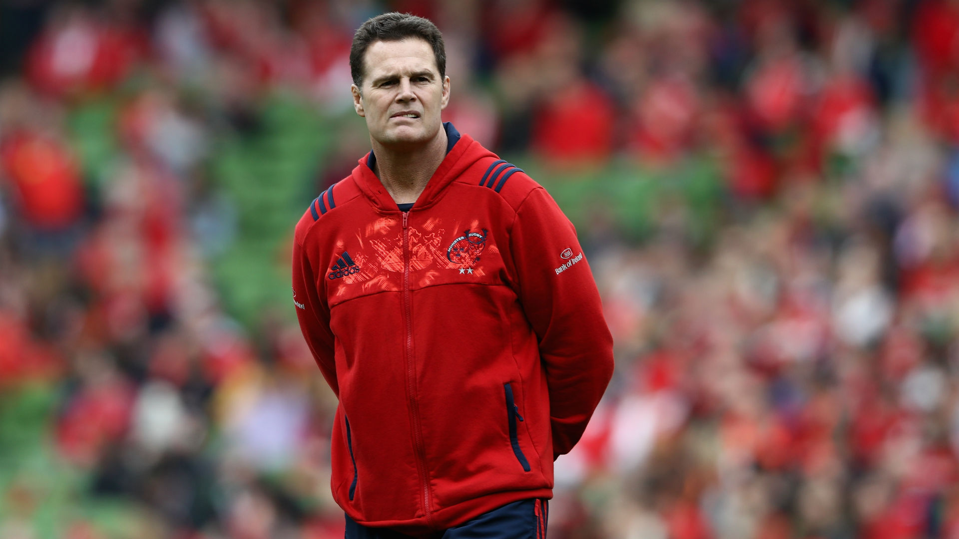 Former Springbok Rassie Erasmus is the man to replace Allister Coetzee, who was sacked this month.