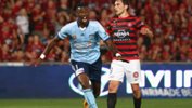 Bernie Ibini celebrates his wonderstrike against Western Sydney Wanderers.