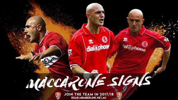 Brisbane Roar signs Maccarone as marquee