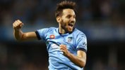 Sydney FC star Milos Ninkovic has been named the Johnny Warren Medalist for the Hyundai A-League 2016/17 season.