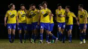 Bankstown Berries downed Metrostars 2-1 to progress to the Round of 16.