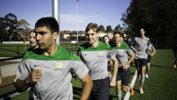 Pararoos