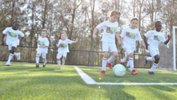 MiniRoos
