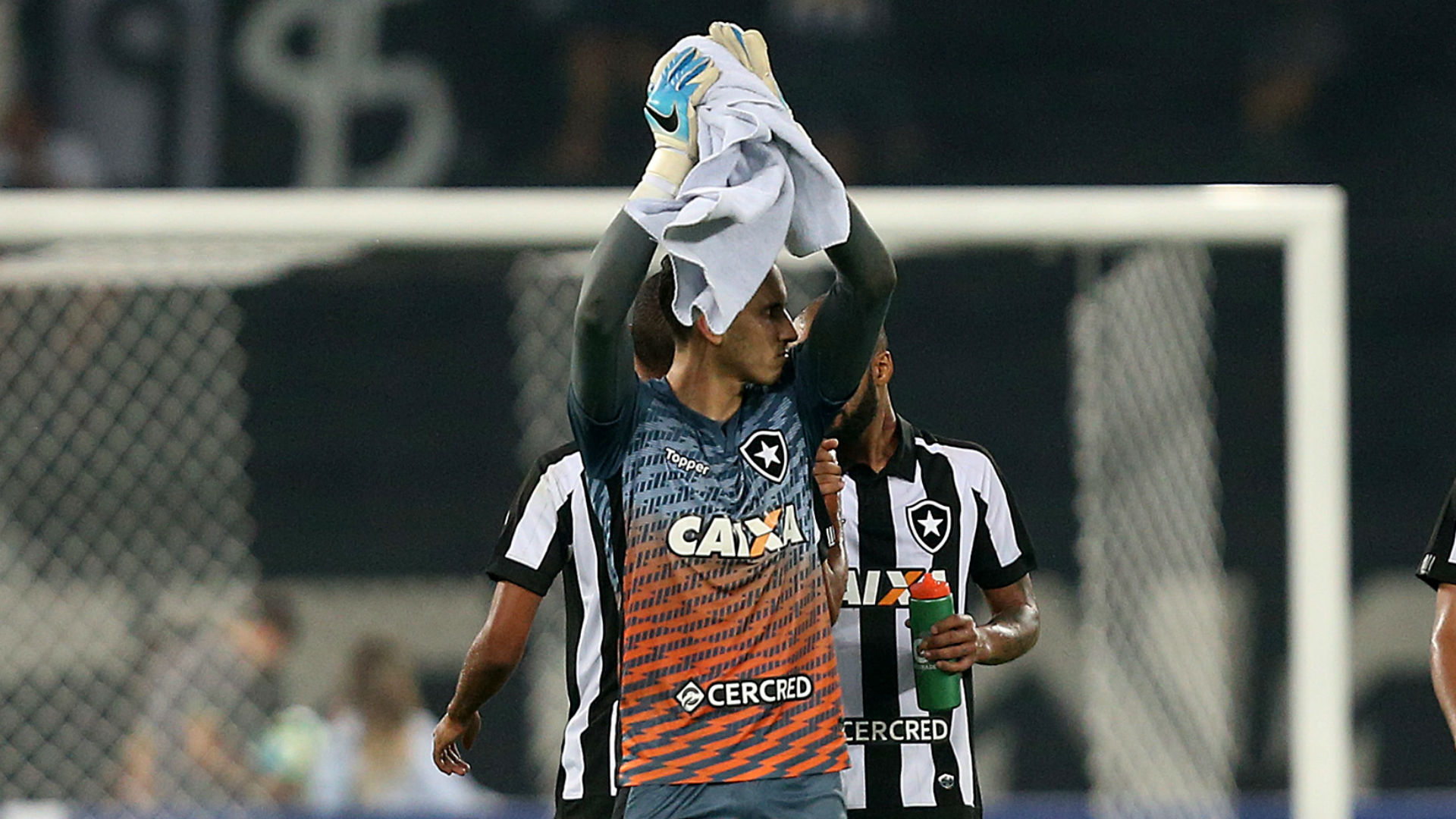 Gatito Fernández Botafogo Bahia Brasileirão 29 05 2017