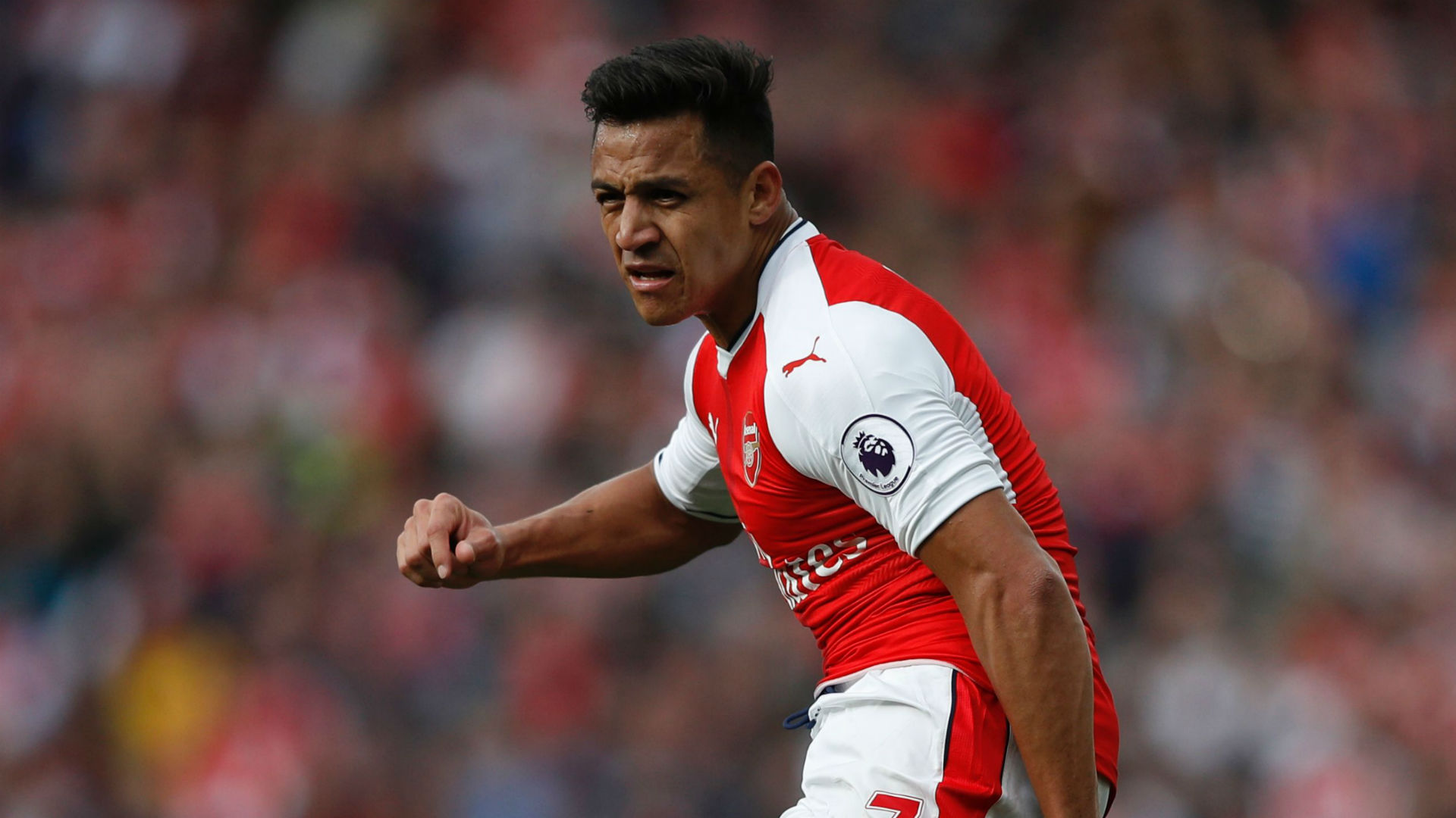 PSG IN ALEXIS TALKS Alexis-sanchez-arsenal_10dbg7jj7cypb130b4fnqga39c