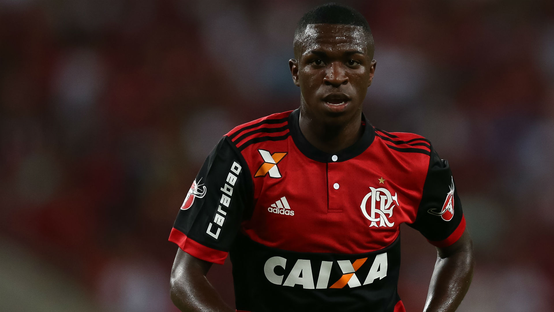 Vinicius