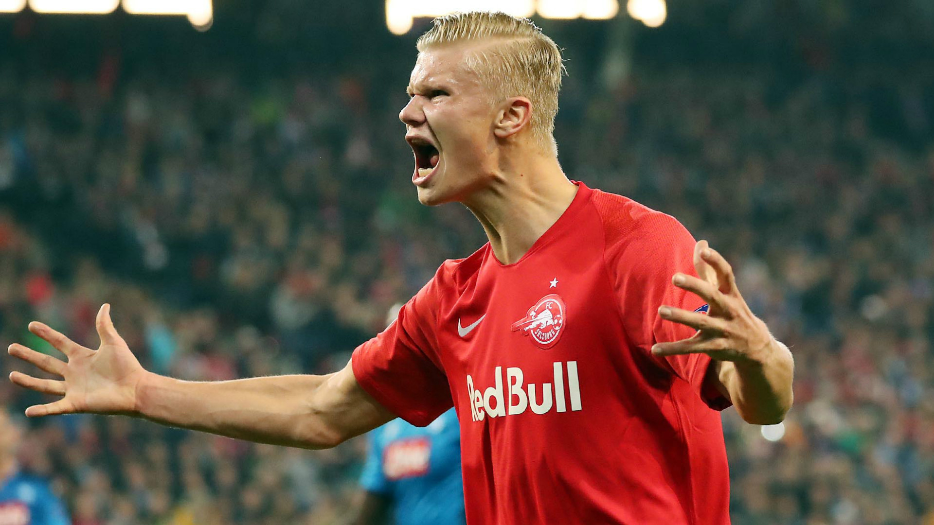 Haaland would be a dream signing for Dortmund – Hamann Haaland would be a dream signing for Dortmund – Hamann