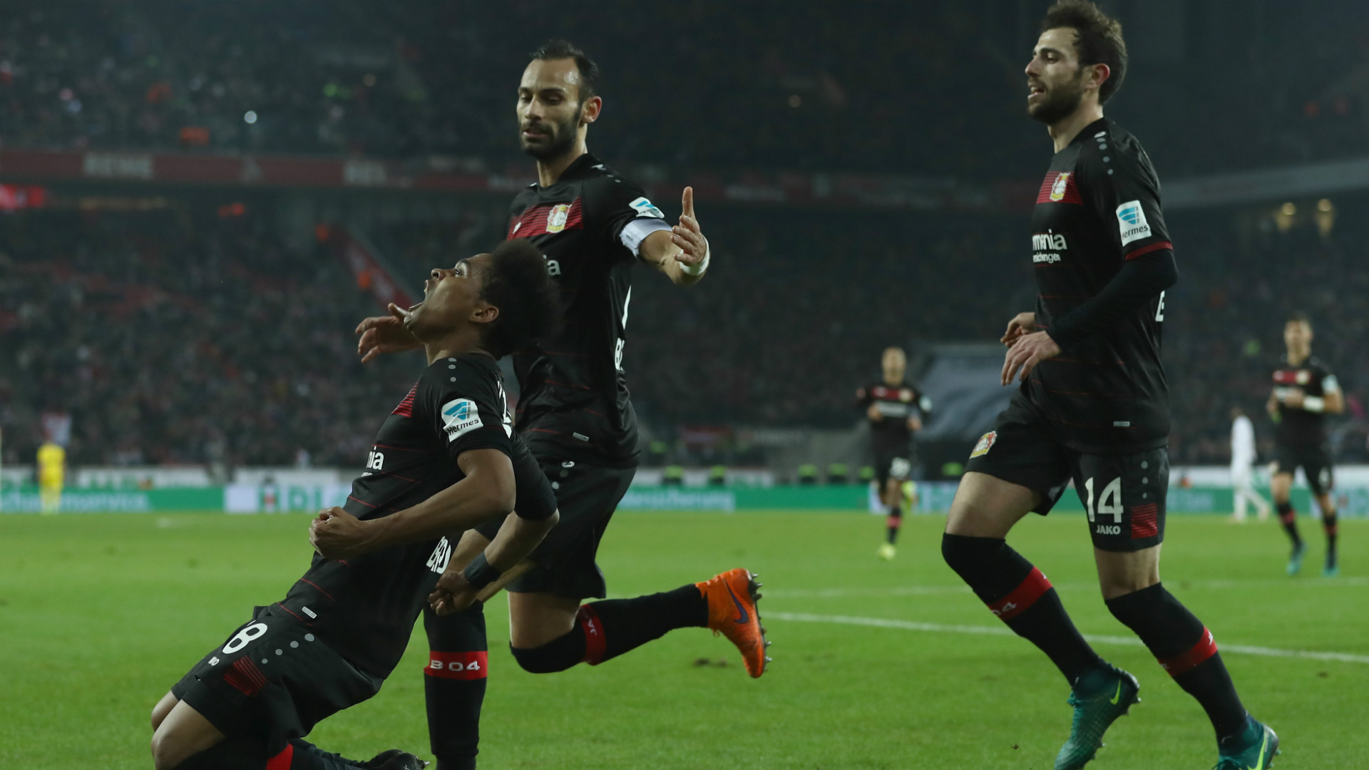 Wendell - Bayer Leverkusen - 21/12/2016