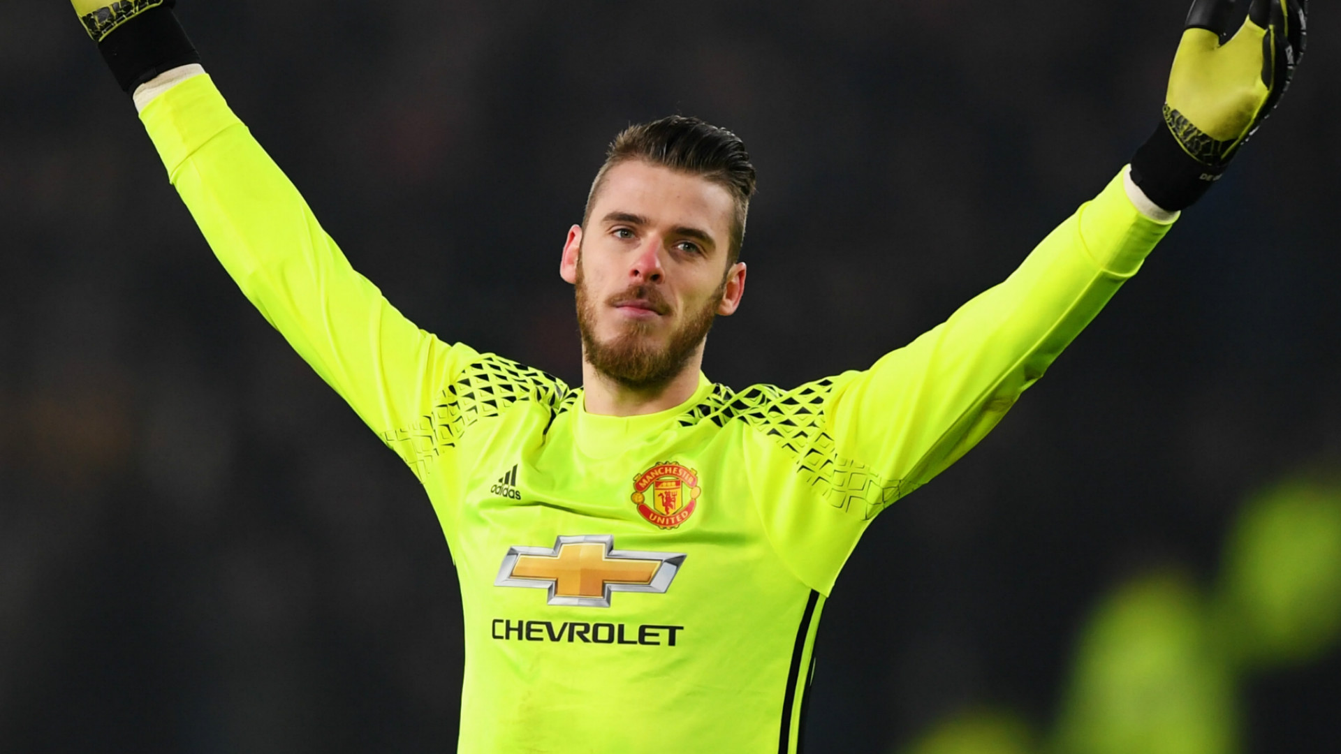 HD David de Gea Manchester United