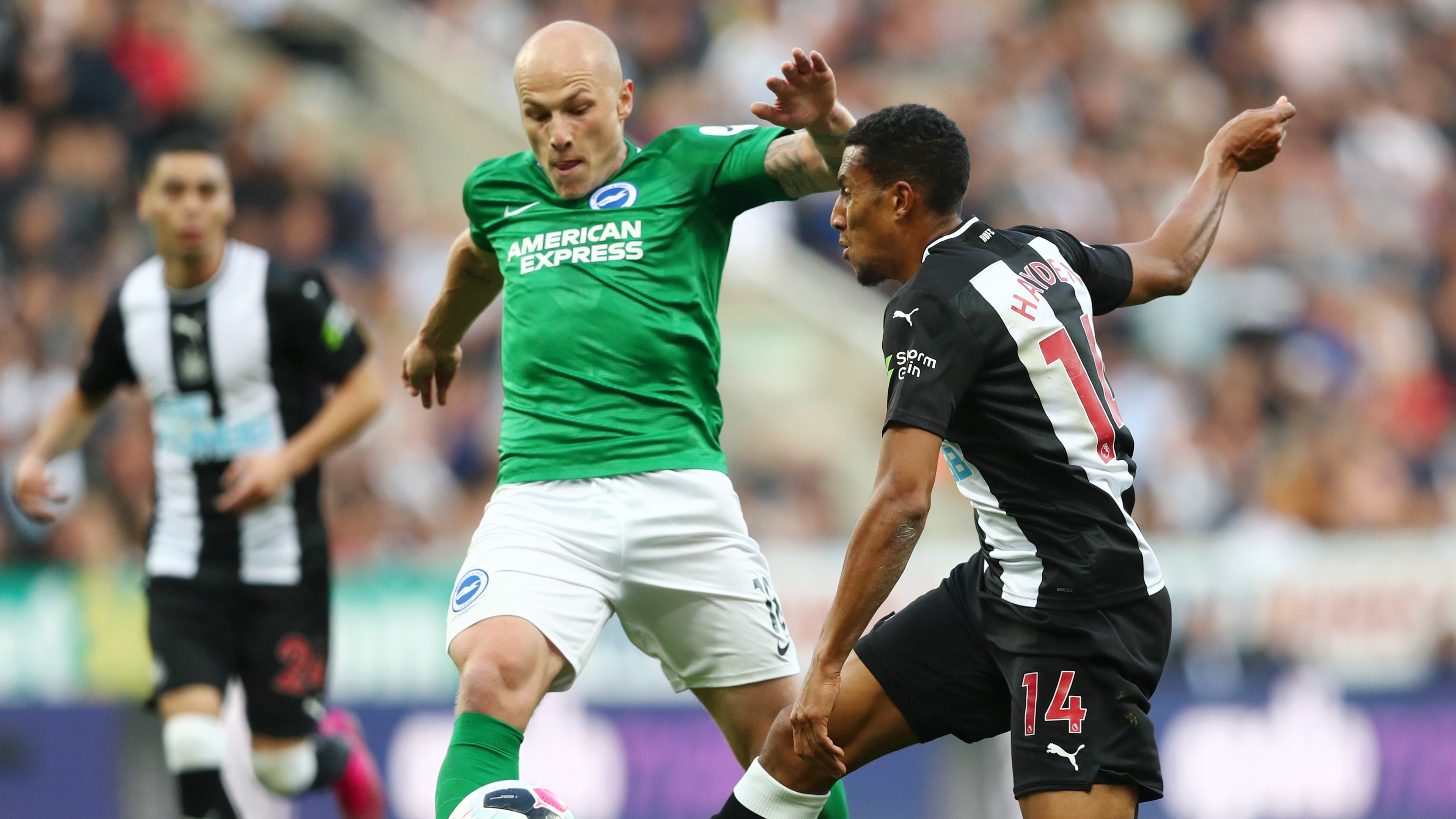 A-League and Australian football news LIVE: Mooy gets first start for Brighton A-League and Australian football news LIVE: Mooy gets first start for Brighton