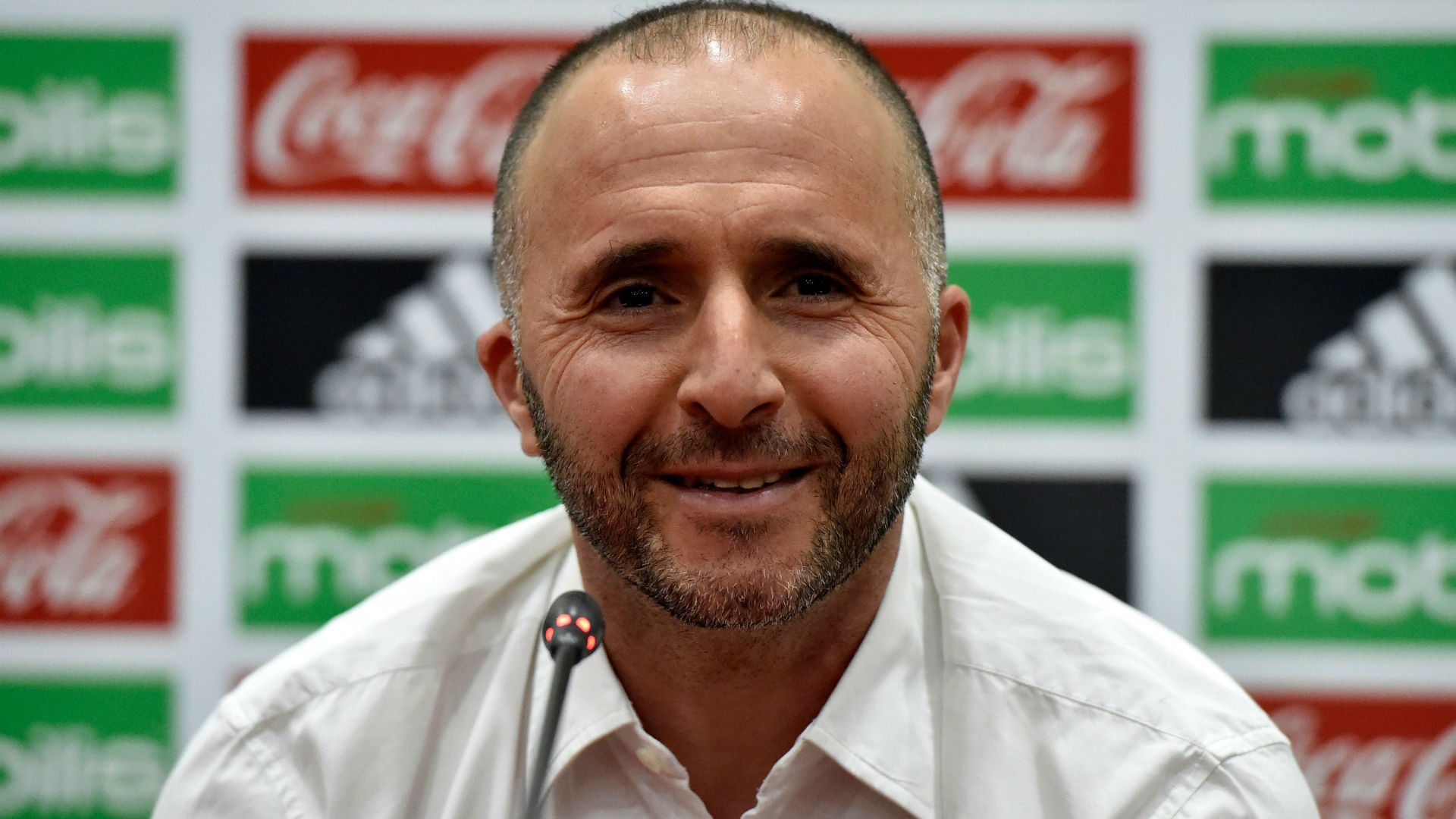 Belmadi: I can't promise Algerians Afcon title