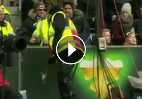 ► ¡Tiran ratas muertas sobre rivales!