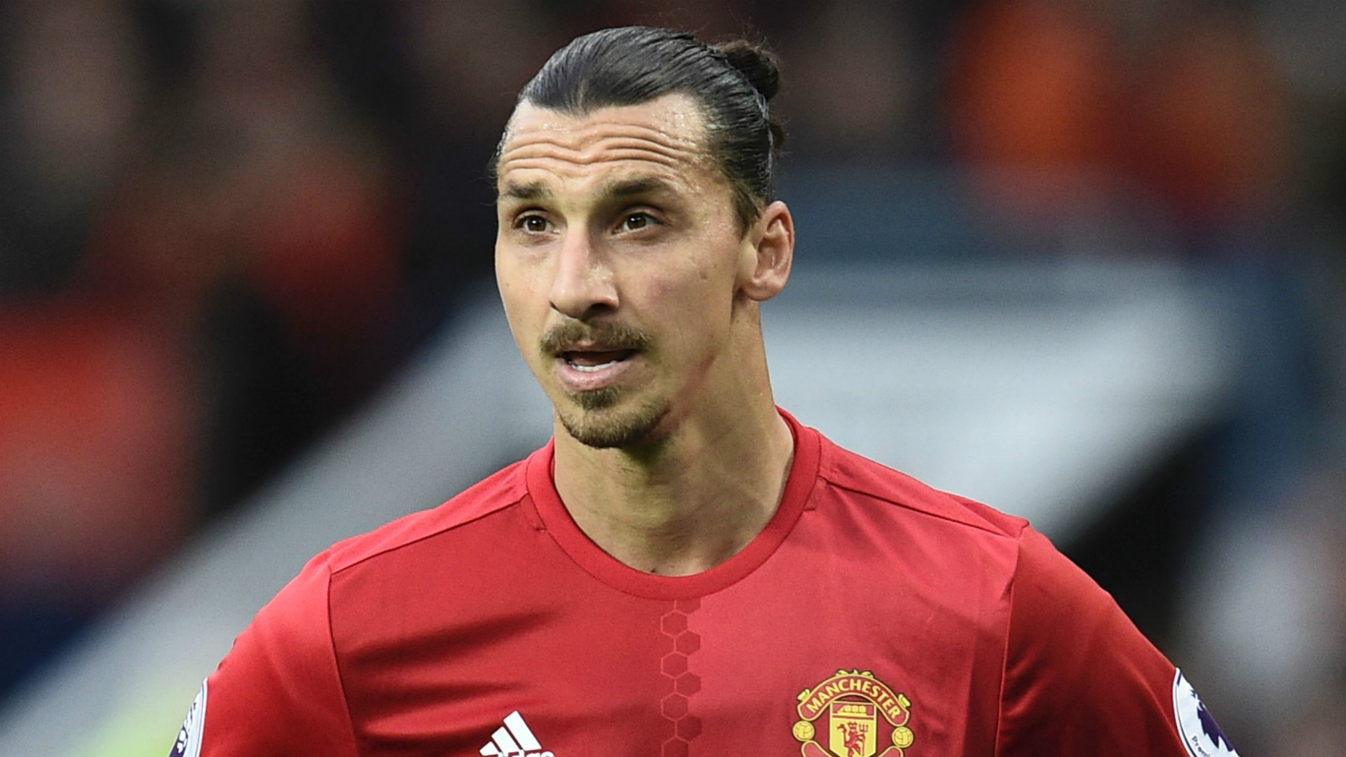 UEFA Team of the Year Zlatan Ibrahimovic - Goal.com