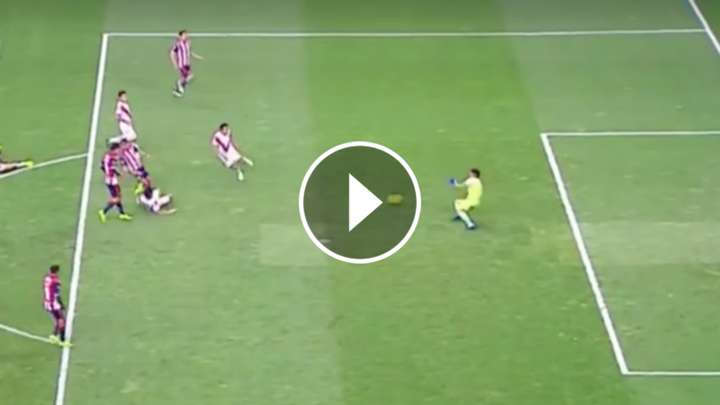 VIDEO: Alan Pulido suma su quinto gol