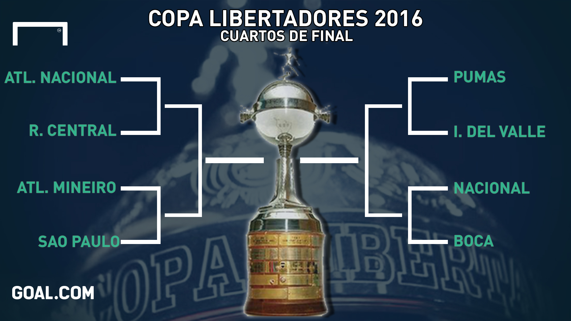 campeones de la copa toyota libertadores de america #7