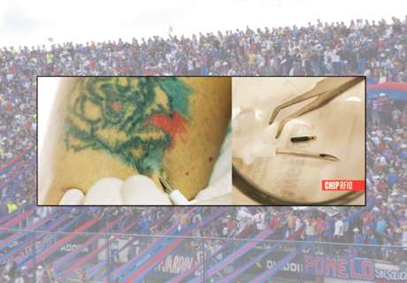 Tigre announce plan to microchip fans