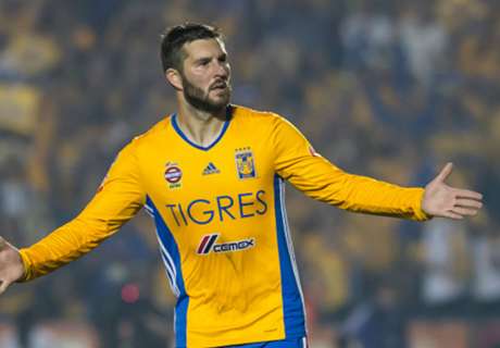 No hay ofertas por Gignac