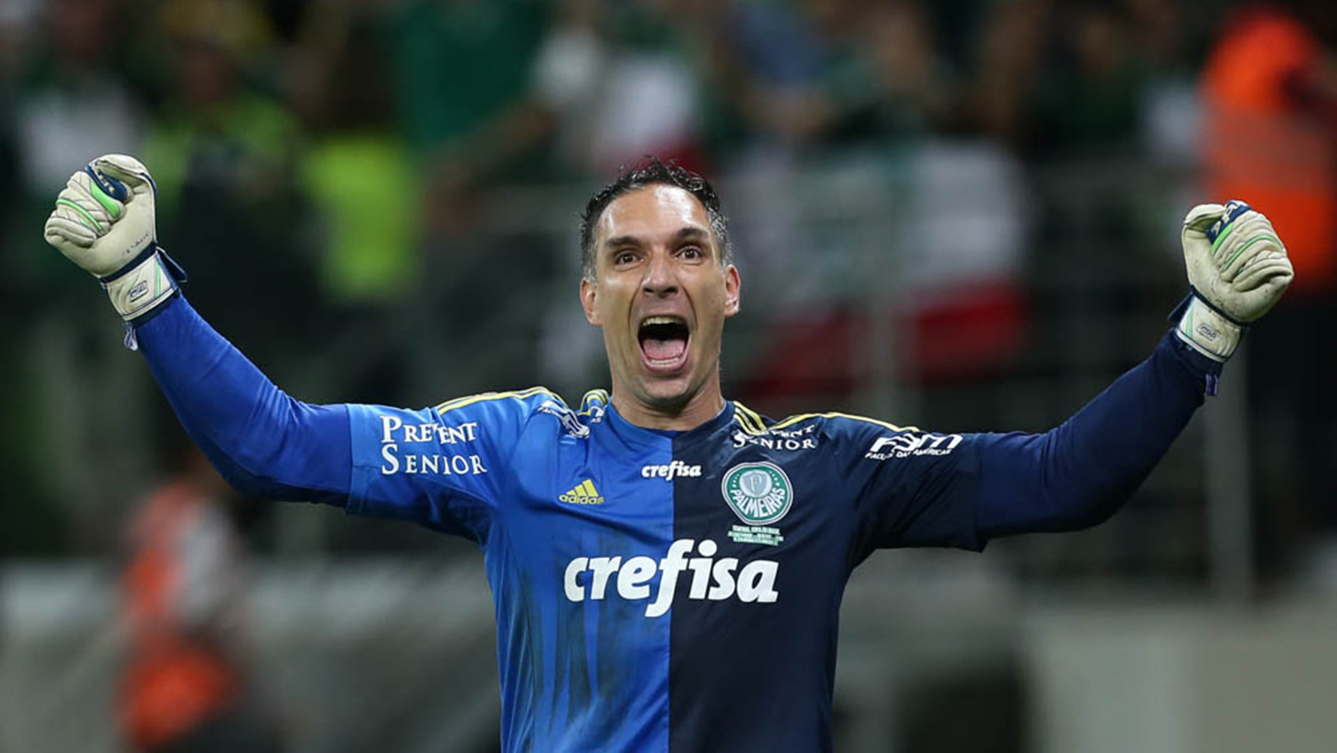 Resultado de imagem para prass palmeiras