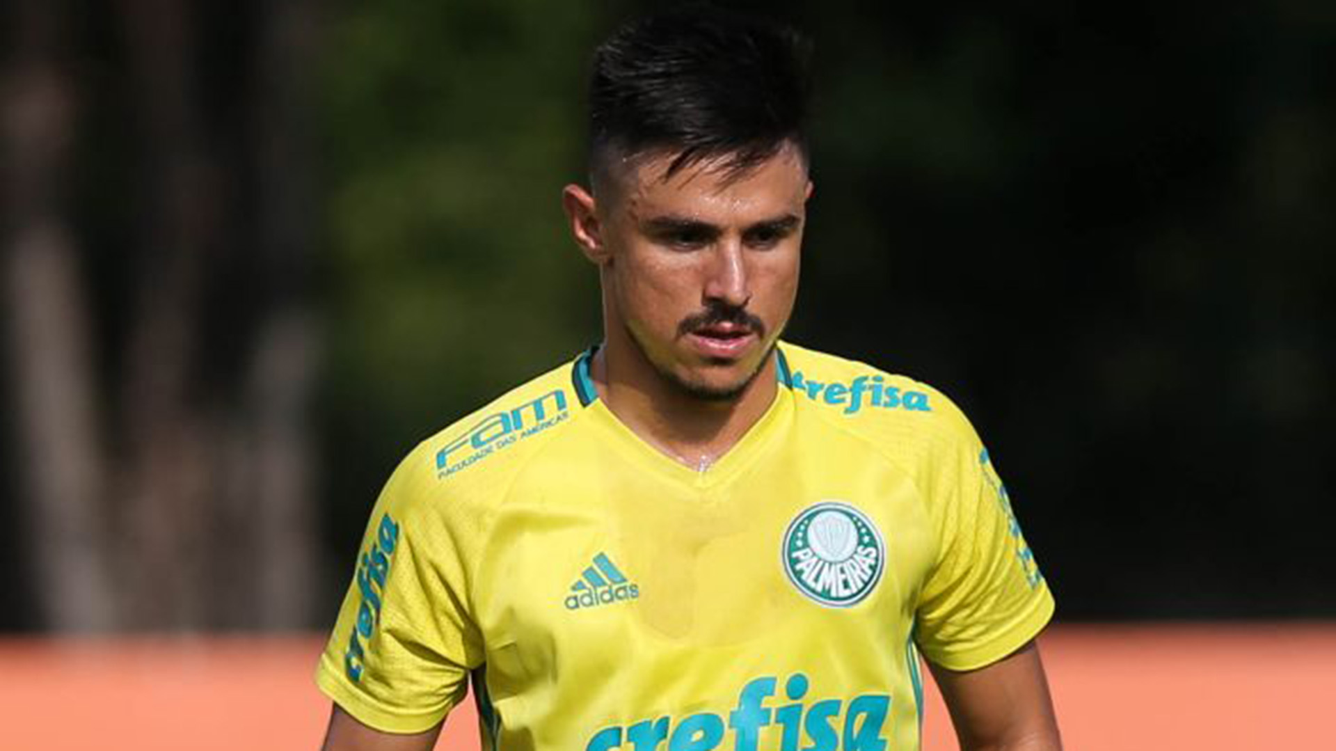 PVC: 'Willian Bigode encerra ciclo de contrações do Palmeiras, que desiste de Borja e Pratto'