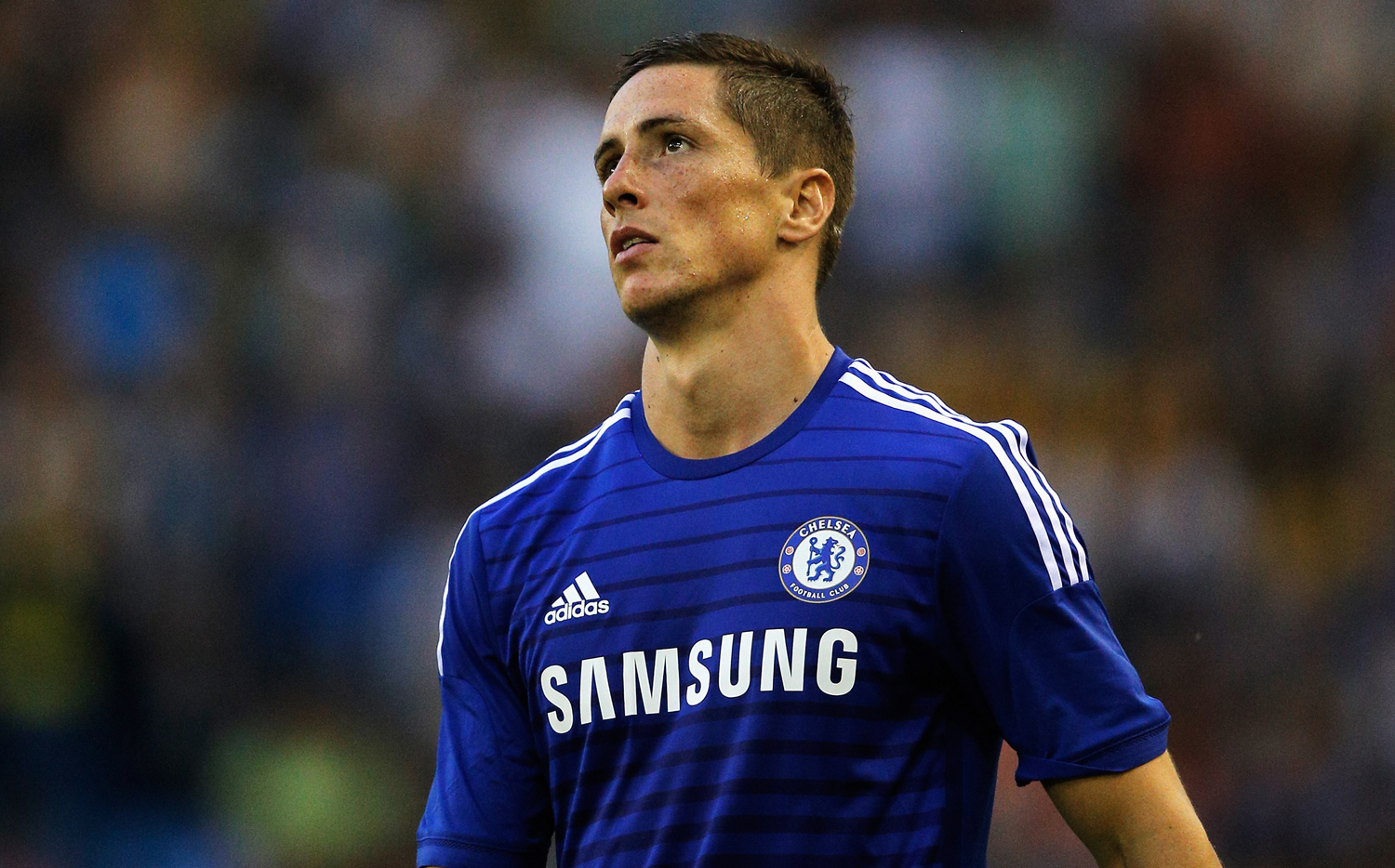 Fernando Torres - Chelsea