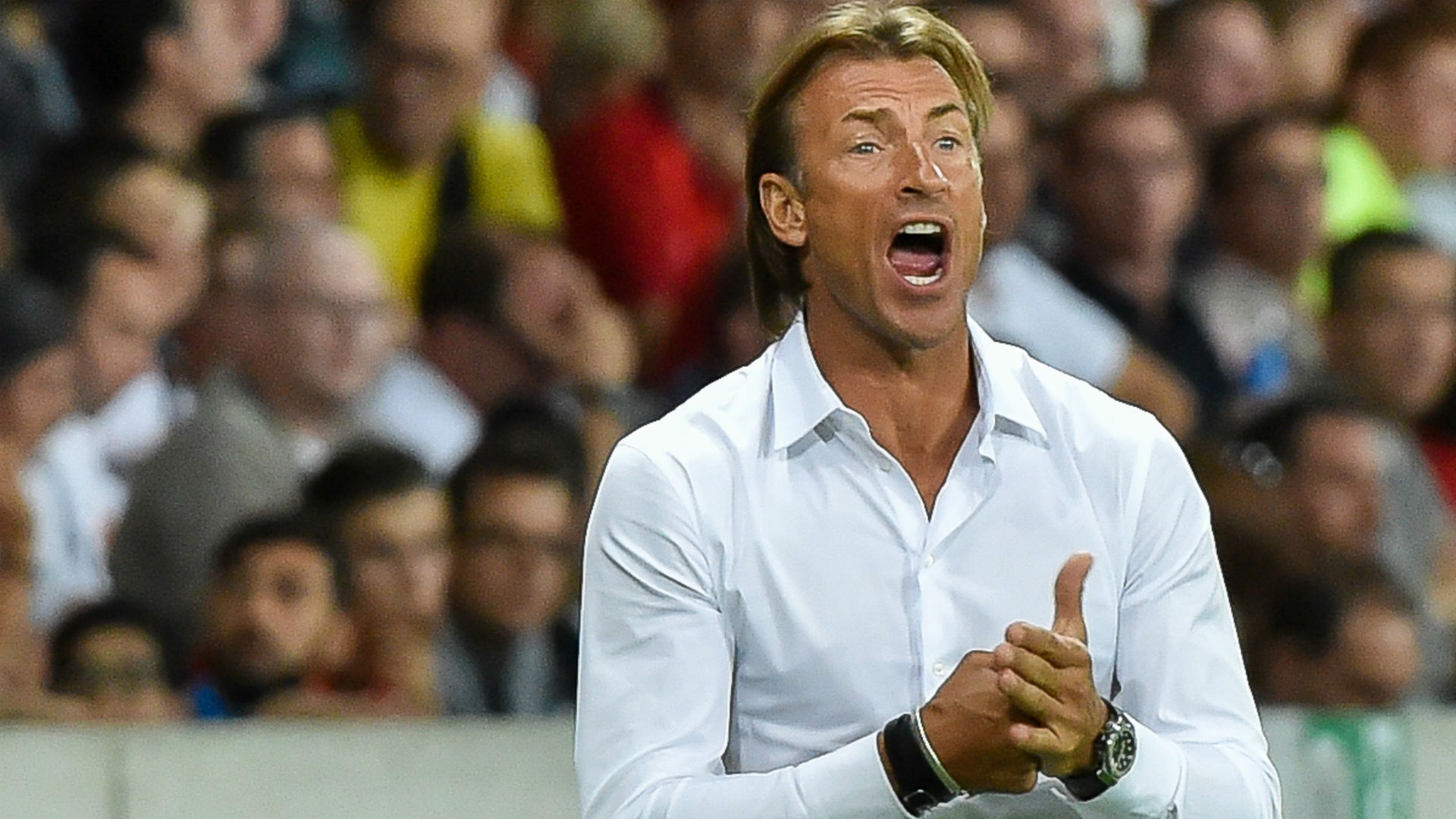 Afcon 2019: Morocco coach Herve Renard calls for togetherness ahead of Namibia clash