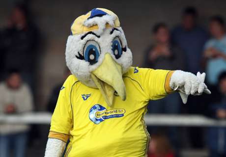 Dianggap Berbahaya, Maskot Torquay Dilarang Masuk Stadion