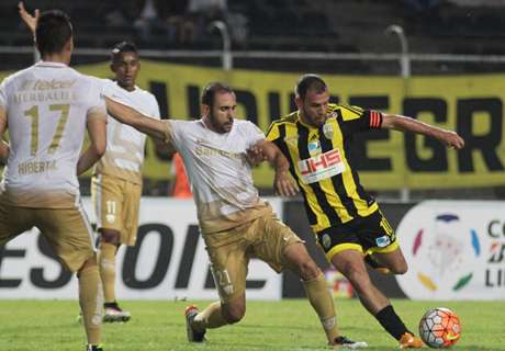 Hond is invaller bij Copa Libertadores