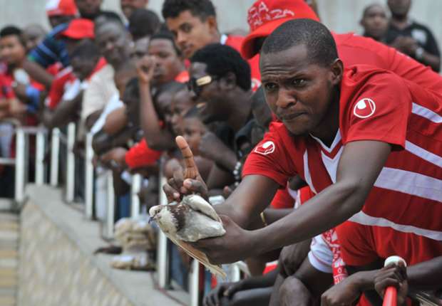 Simba Fans