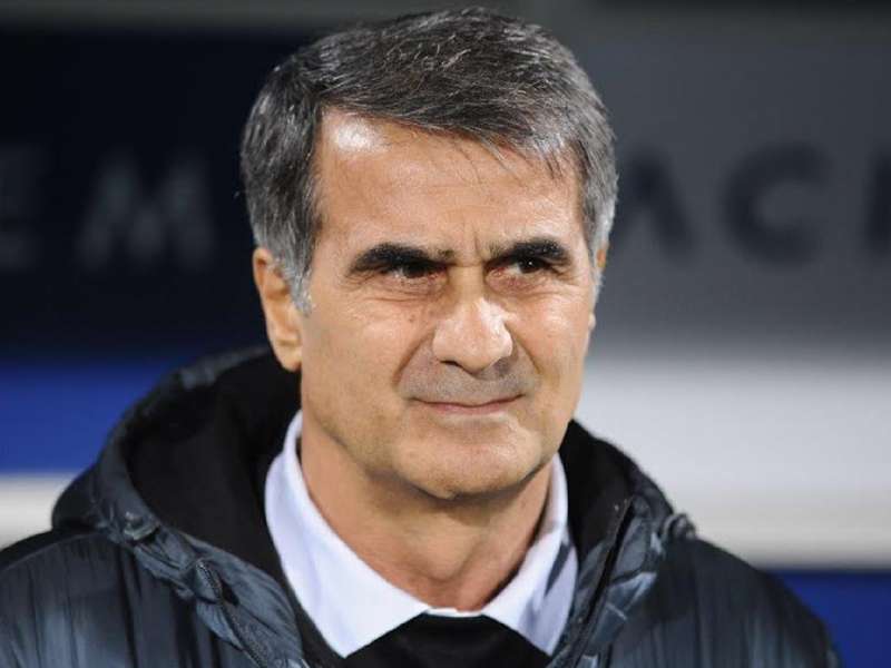 şenol güneş bursaspor fenerbahçe stsl 24112014