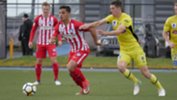 arzani ccm