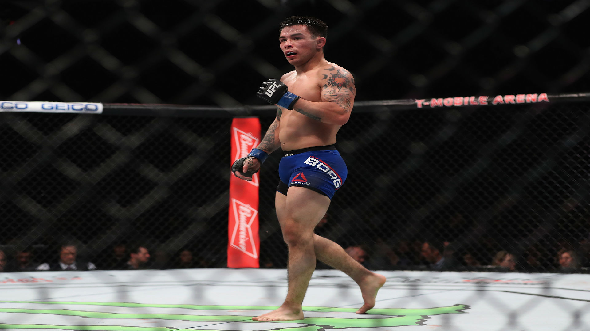 Mighty Mouse vs. Ray Borg headlines UFC 215 in Edmonton Mighty Mouse vs. Ray Borg headlines UFC 215 in Edmonton