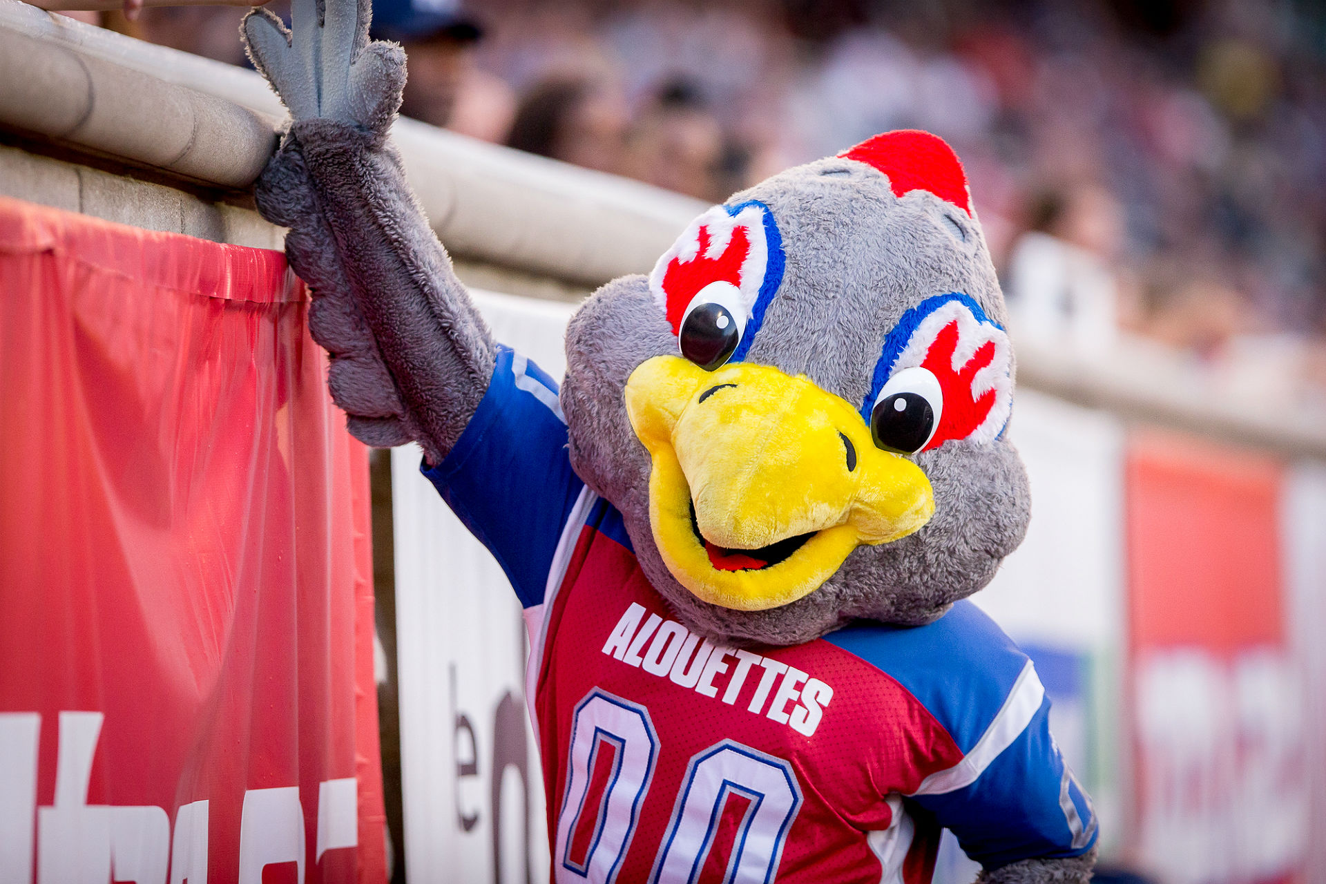 From The Raptor to Mick E. Moose Canadian team mascots ranked