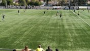 Phoenix fans watch on on a sunny day in Blacktown.