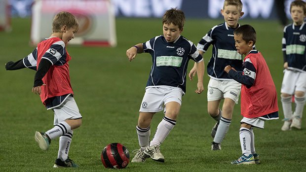Miniroos