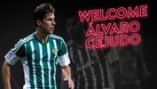 Alvaro2