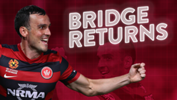 Mark Bridge