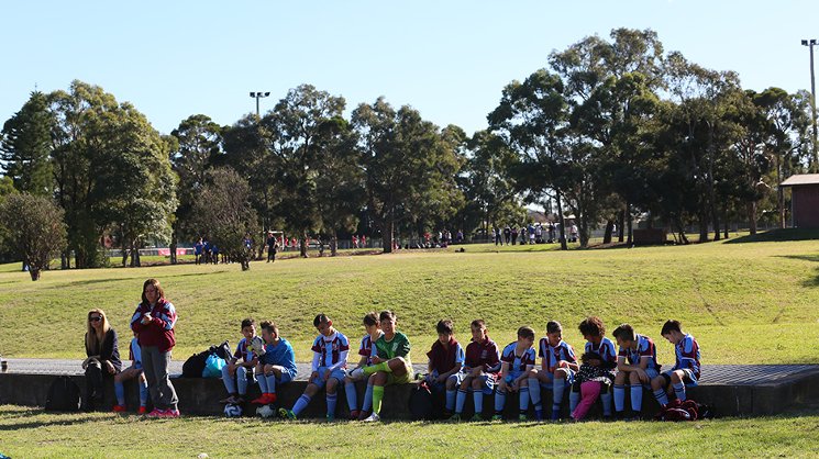 Southern Districts Schools Cup