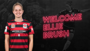 Ellie Brush