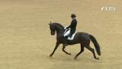 Reem Acra FEI World Cup™ Dressage 2014/15 - Gothenburg - Grand Prix News Reem Acra FEI World Cup™ Dressage 2014/15 - Gothenburg - Grand Prix News