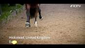 Furusiyya FEI Nations Cup 2016 - Seasons Review Pt 4 Furusiyya FEI Nations Cup 2016 - Seasons Review Pt 4