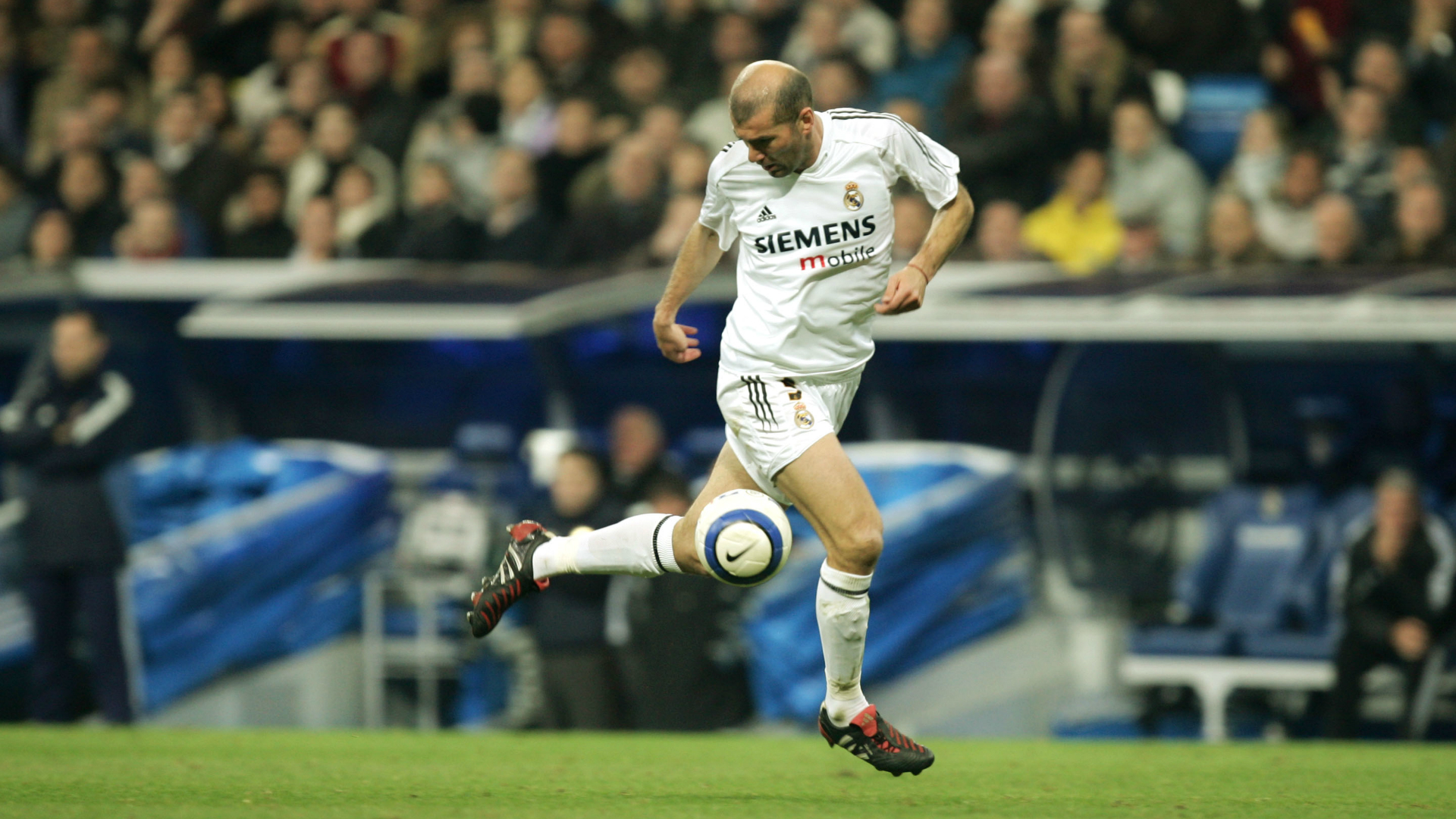 Zinedine Zidane - Real Madrid - Goal.com