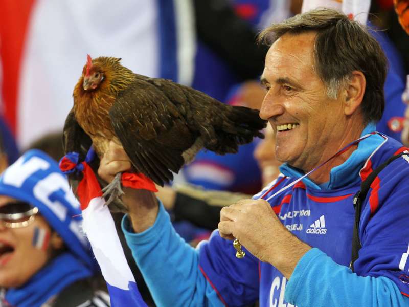 Waarom is de haan het symbool van Frankrijk? | Goal.com