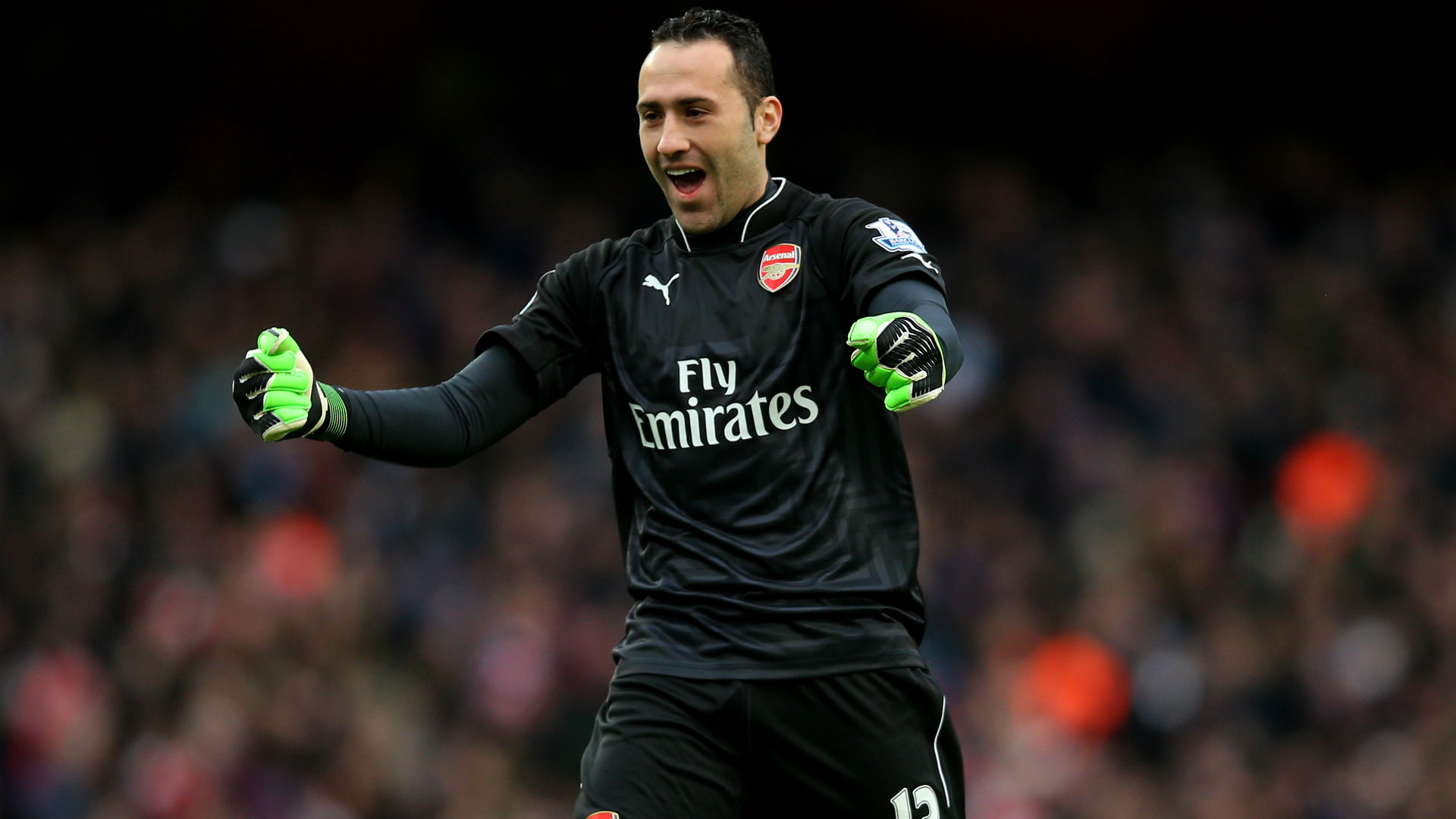 Image result for david ospina