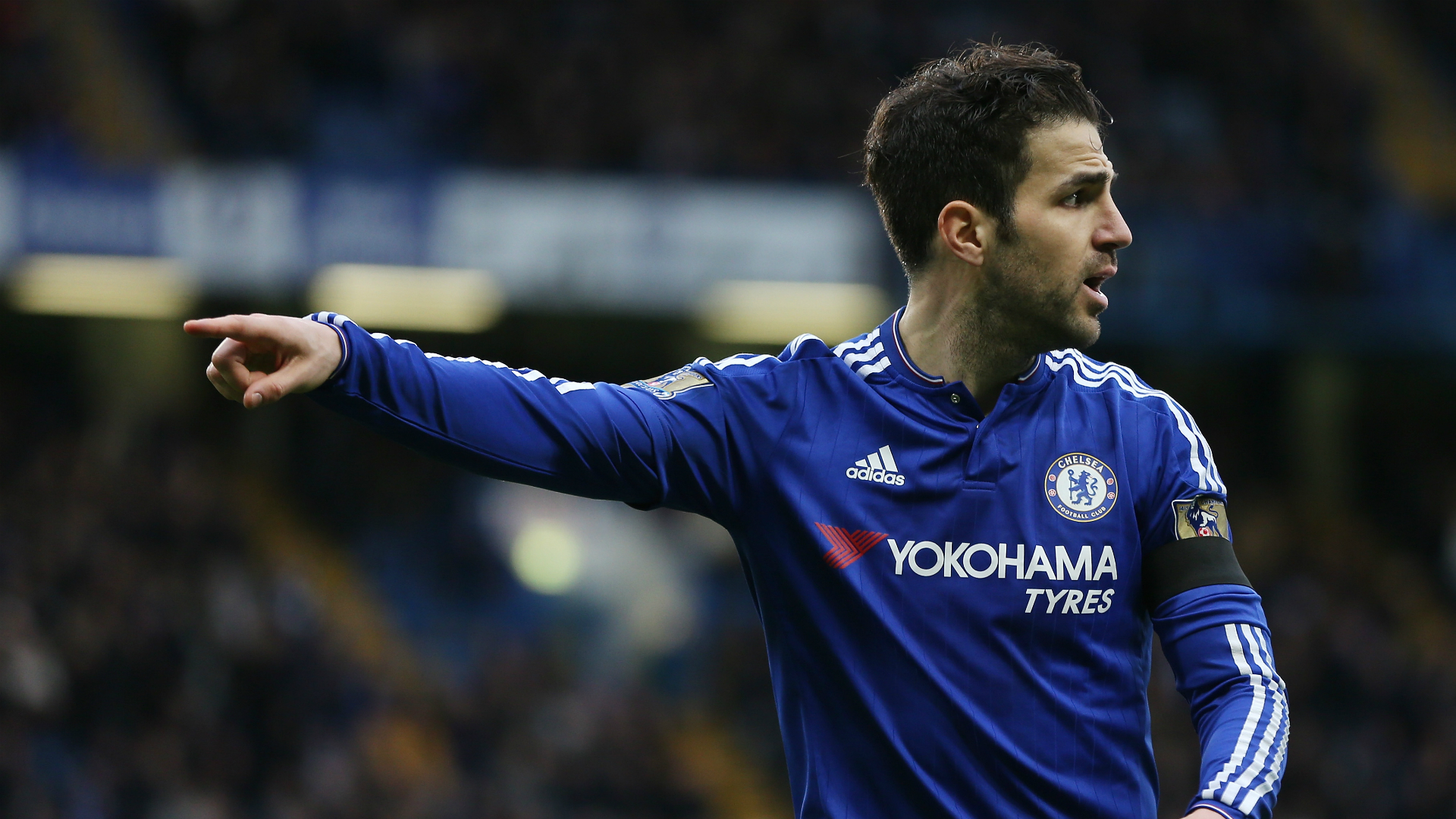 Image result for Fabregas chelsea