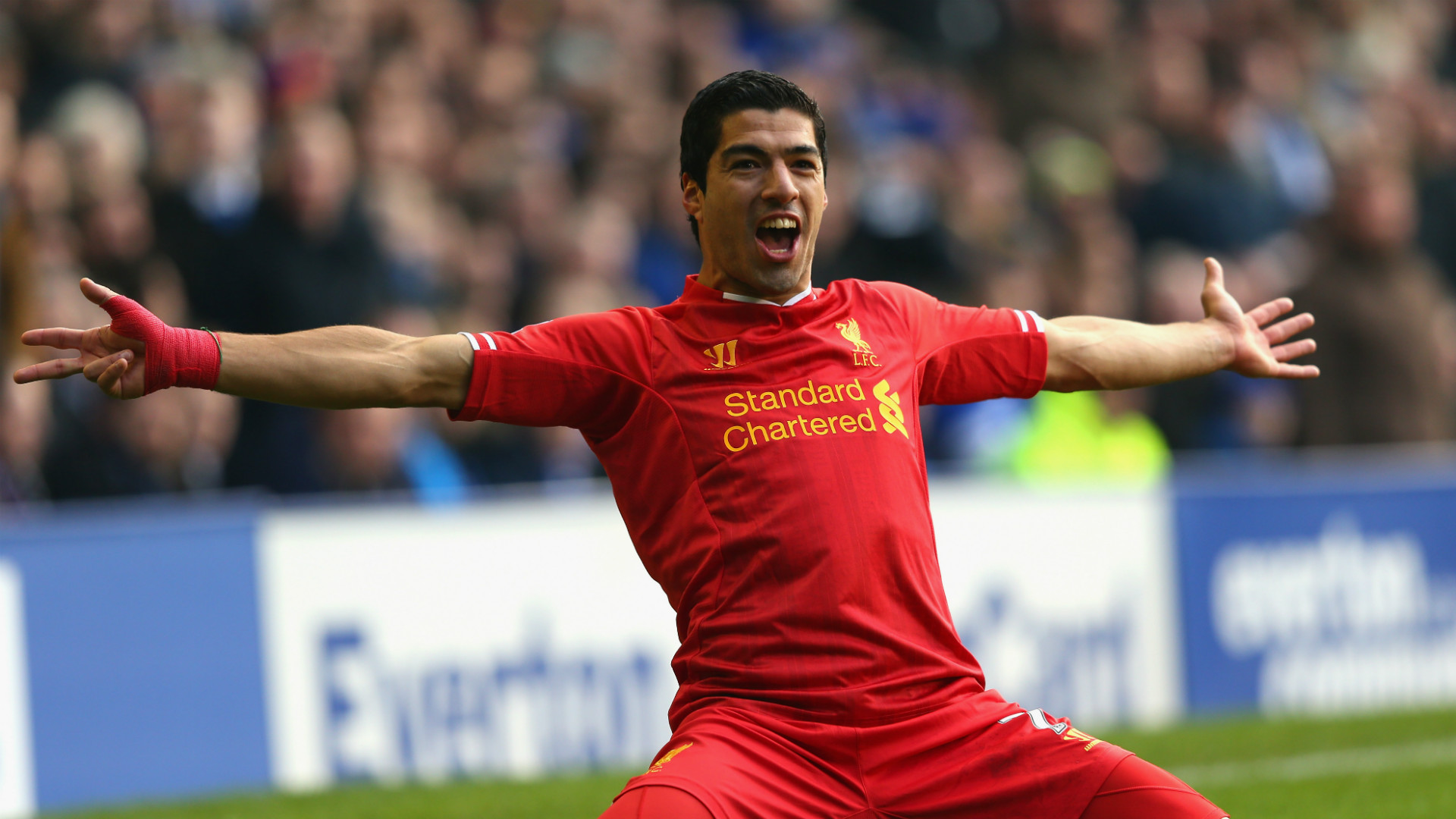 HD Luis Suarez Liverpool