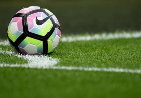 Fan arrested for stealing ball